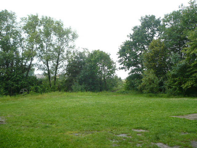 P1030559.JPG